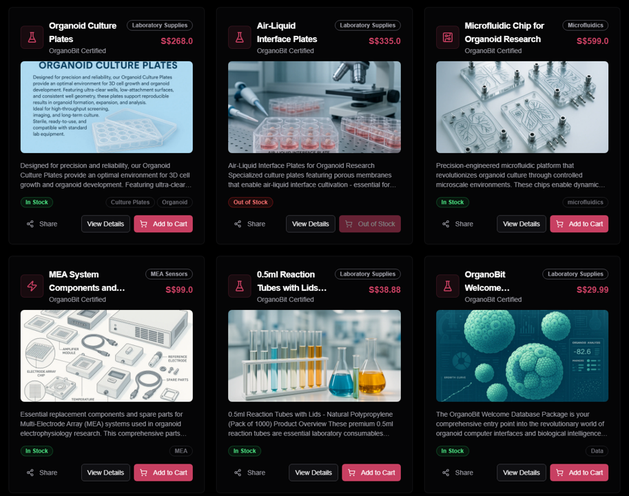 Cortical Organoid Maturation v3.2