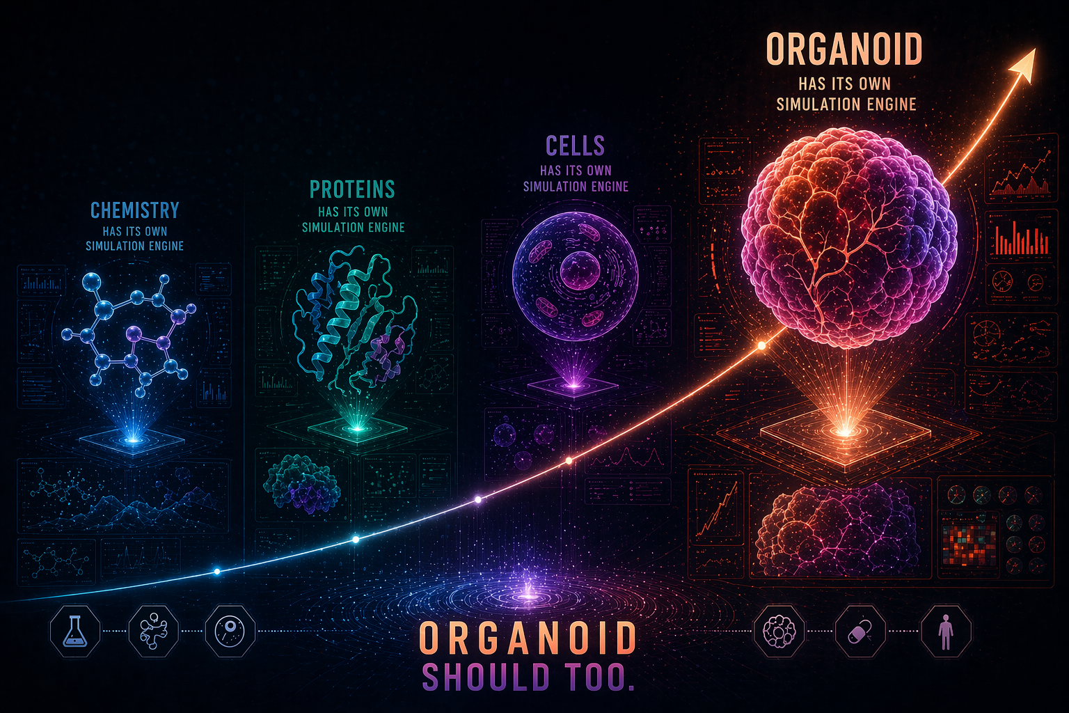 Organoid simulation engine concept illustration